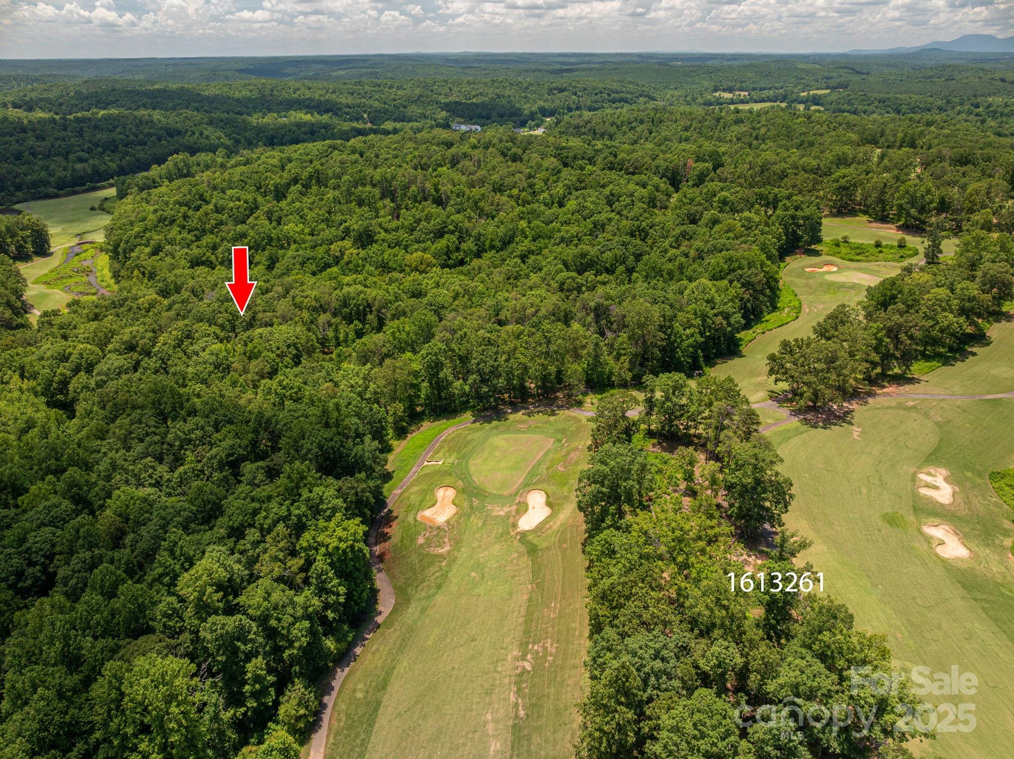 Lot 221 Plantation Drive Rutherfordton, NC 28139 - Photo 9 of 18 a view of a lake with a yard