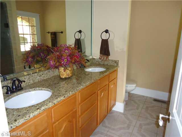 255 Danny Road Stoneville, NC 27048 - Photo 10 of 16 Master Bath/Spa.