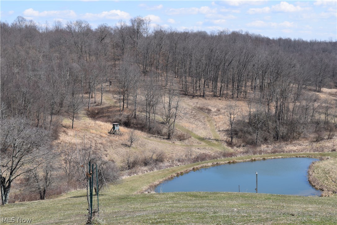 45118 Collins Road Caldwell, OH 43724 - Photo 27 of 33 Gallery Image 27