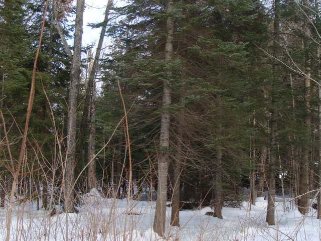 9-10 Priest Point Lane Presque Isle, WI 54557 - Photo 2 of 7 Gallery Image 2