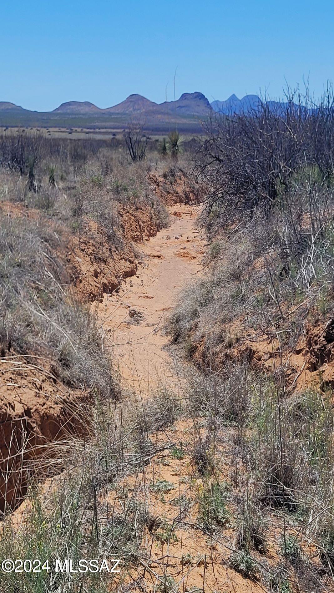 20 Ac Off Mule Deer Road Pearce, AZ 85625 - Photo 17 of 19