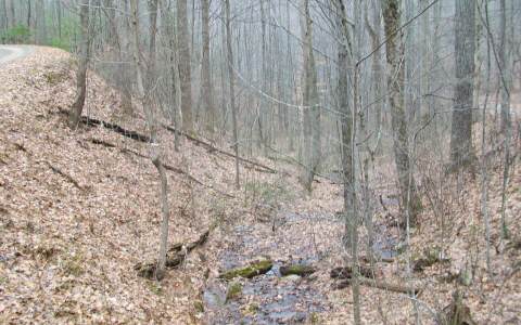 Lot36 Tranquil Cove Road Murphy, NC 28906 - Photo 1 of 1 Main View