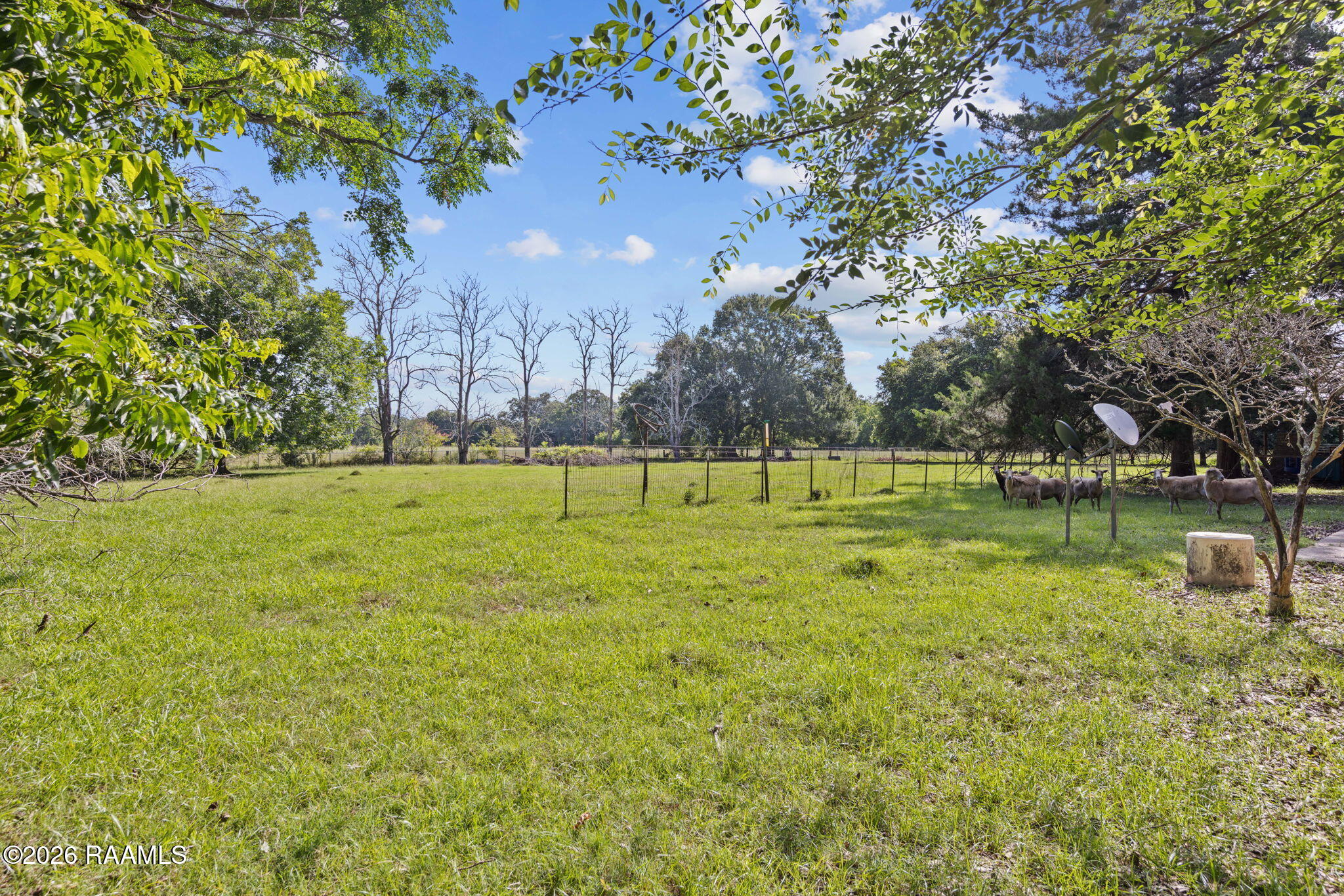 189 Compress Road Opelousas, LA 70570 - Photo 31 of 38 31-web-or-mls-189 Compress Rd-31