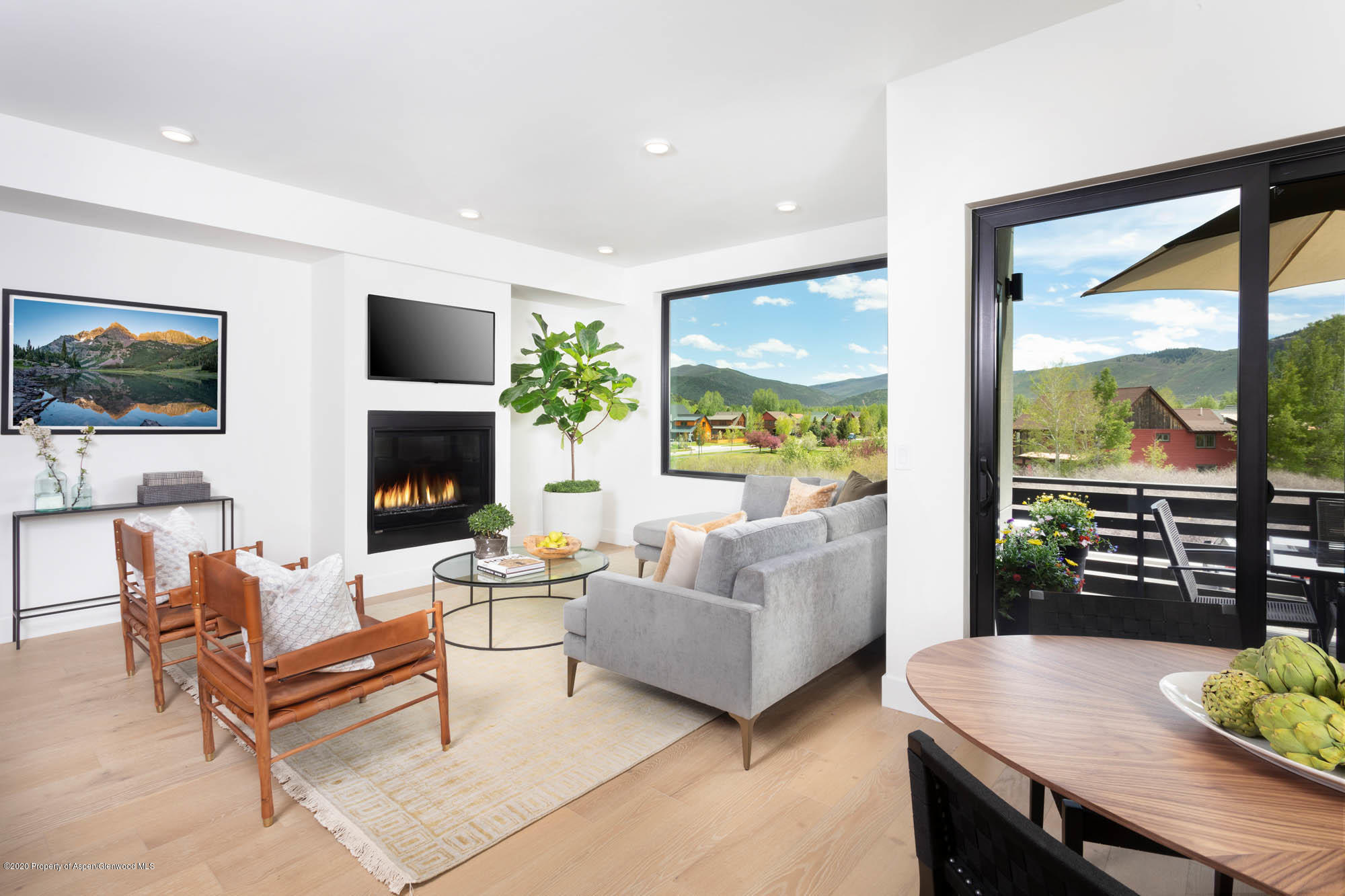 260 Lewis Lane Basalt, CO 81621 - Photo 4 of 37 Living Area