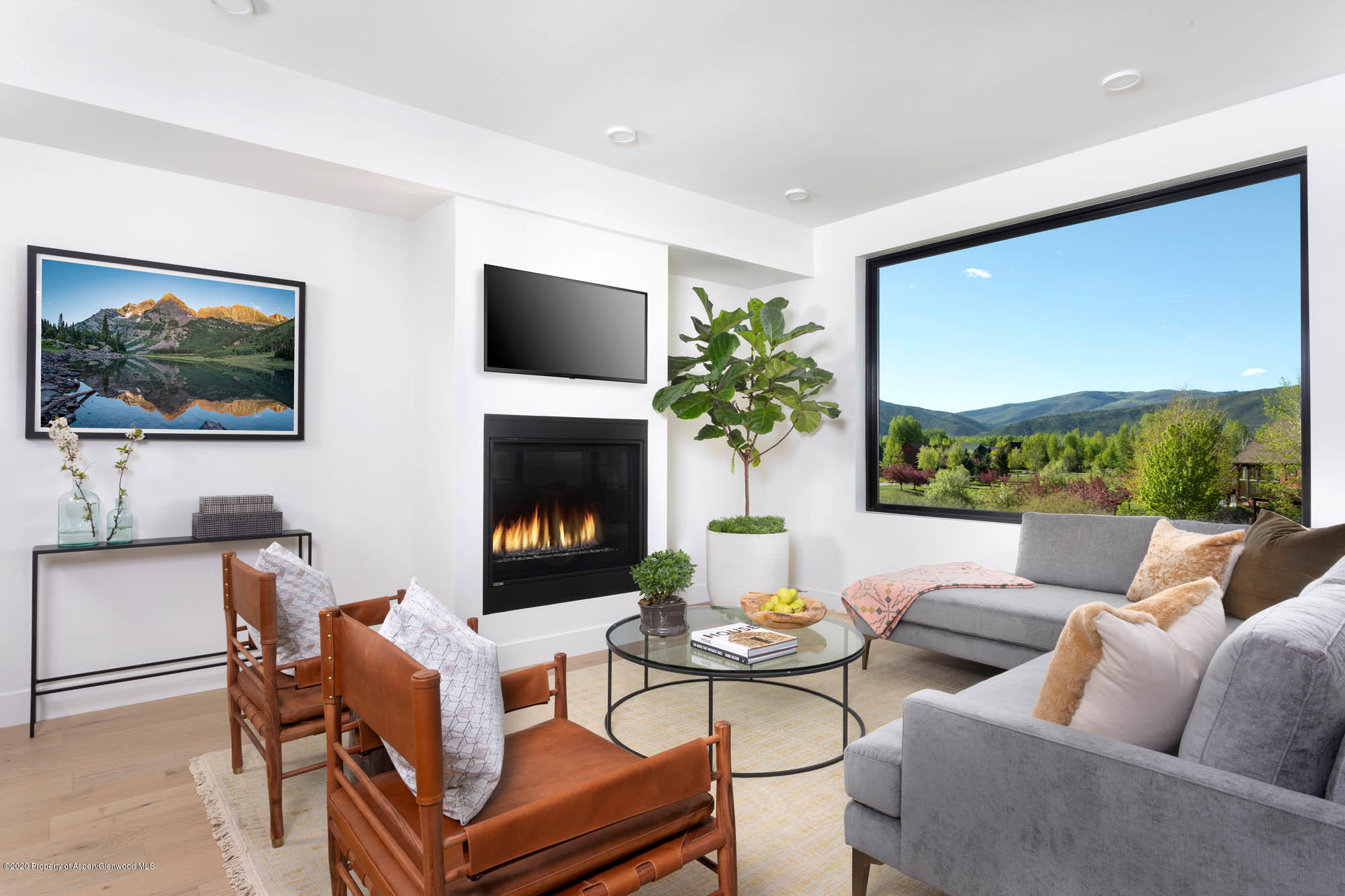 260 Lewis Lane Basalt, CO 81621 - Photo 5 of 37 Living Room