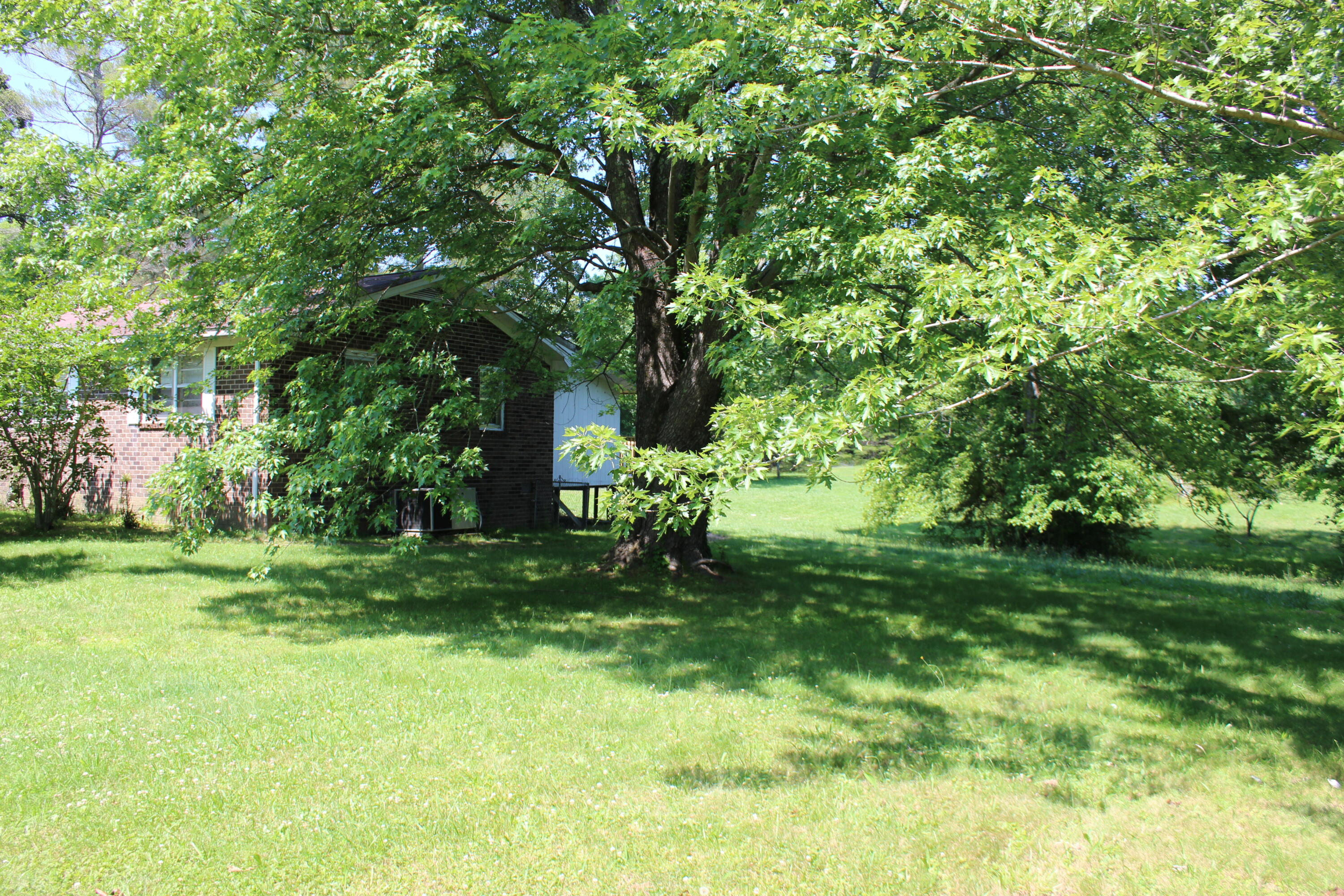 635 Main Street Palmer, TN 37365 - Photo 2 of 27 IMG_1498