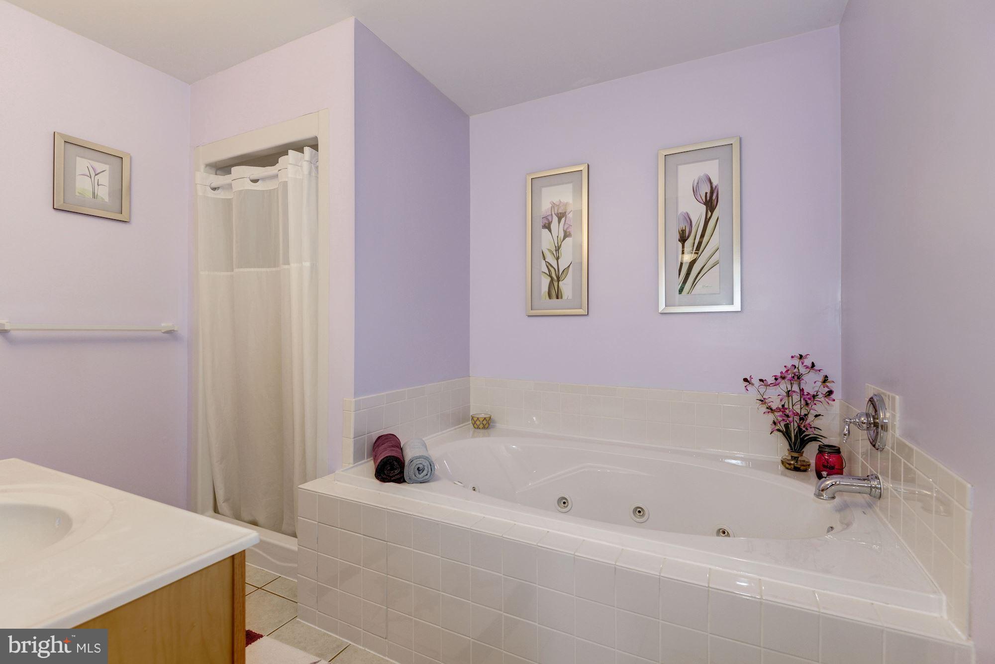 1617 Bowleys Quarters Road Baltimore, MD 21220 - Photo 18 of 26 Bath (Master)