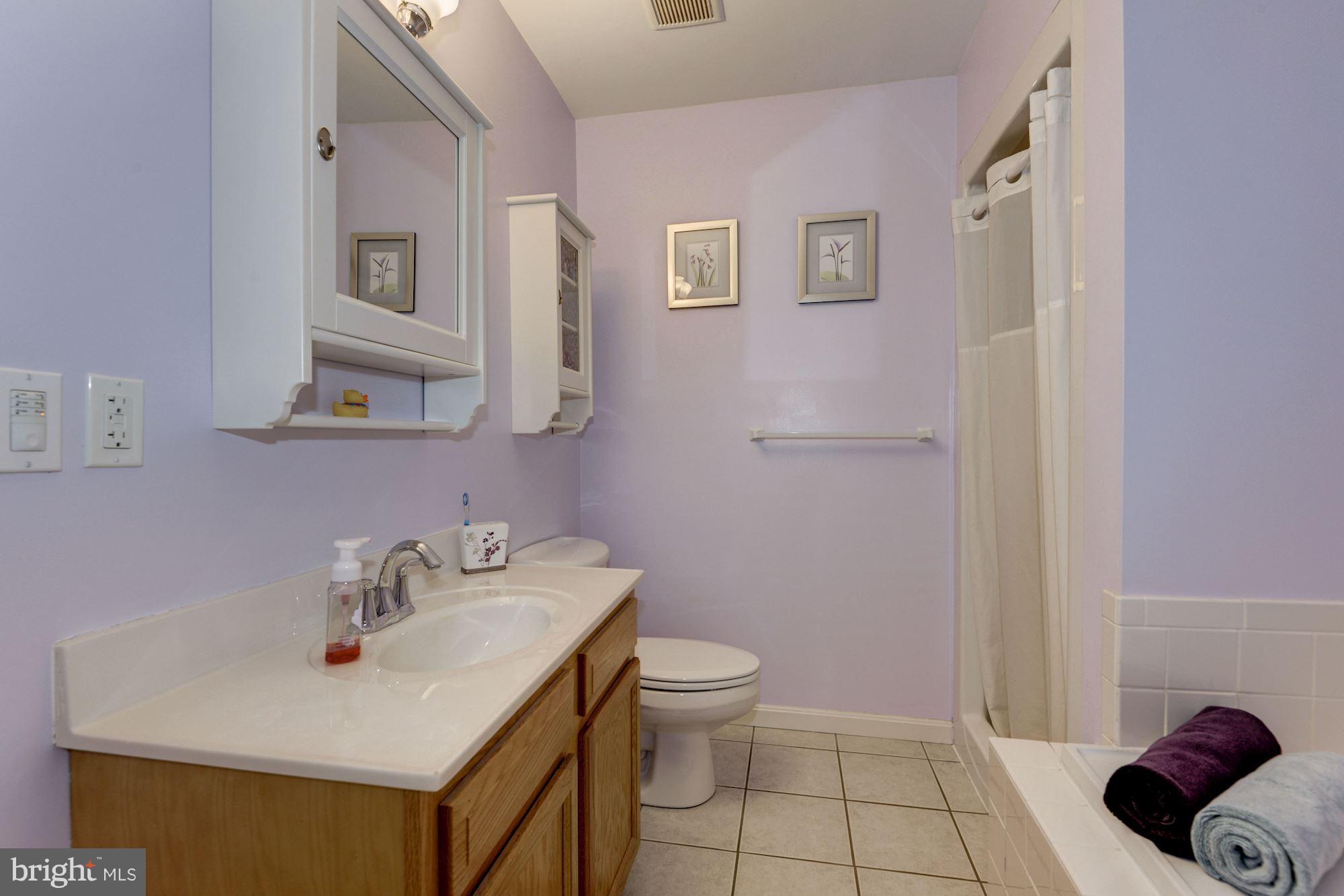 1617 Bowleys Quarters Road Baltimore, MD 21220 - Photo 19 of 26 Bath (Master)