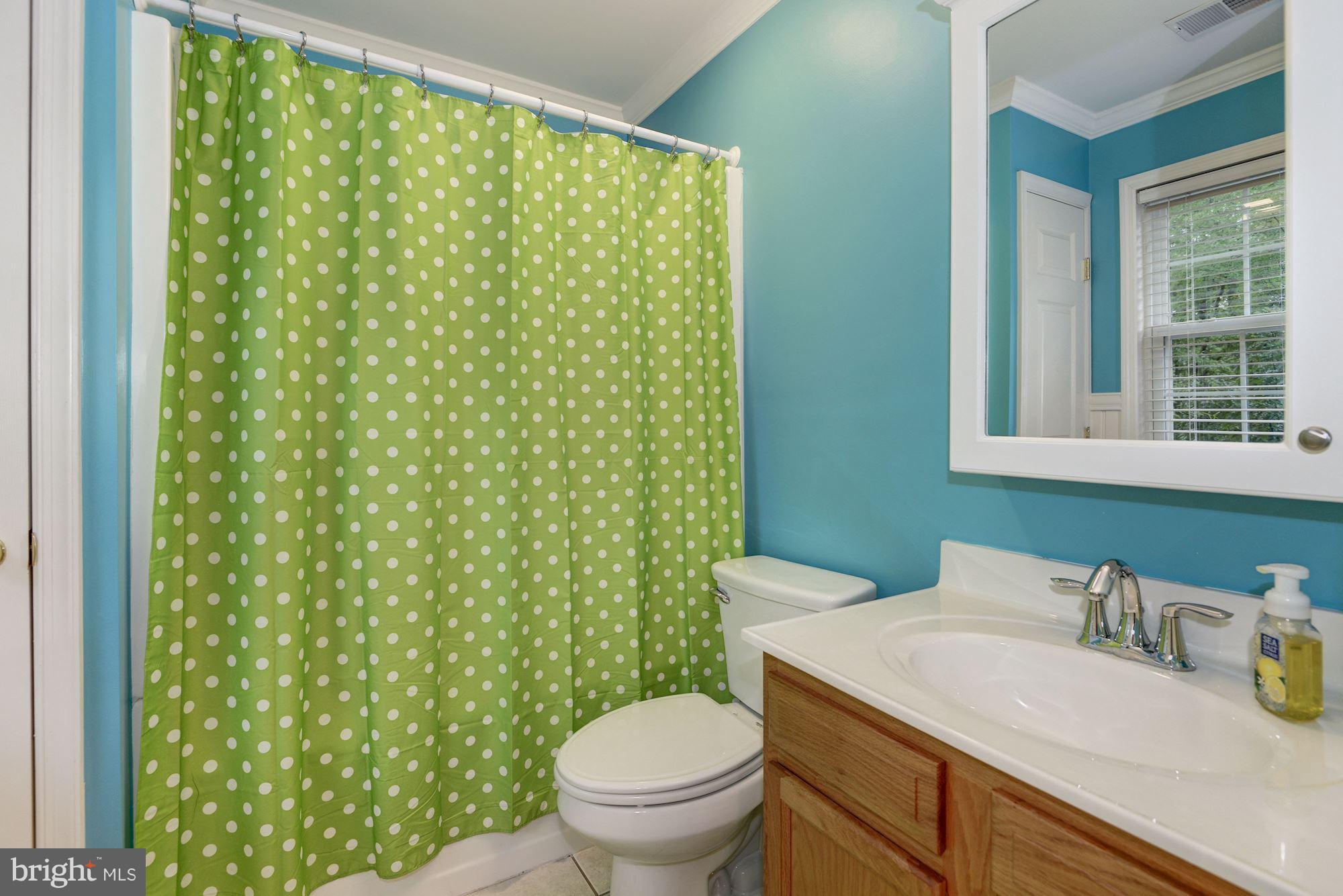 1617 Bowleys Quarters Road Baltimore, MD 21220 - Photo 22 of 26 Bath