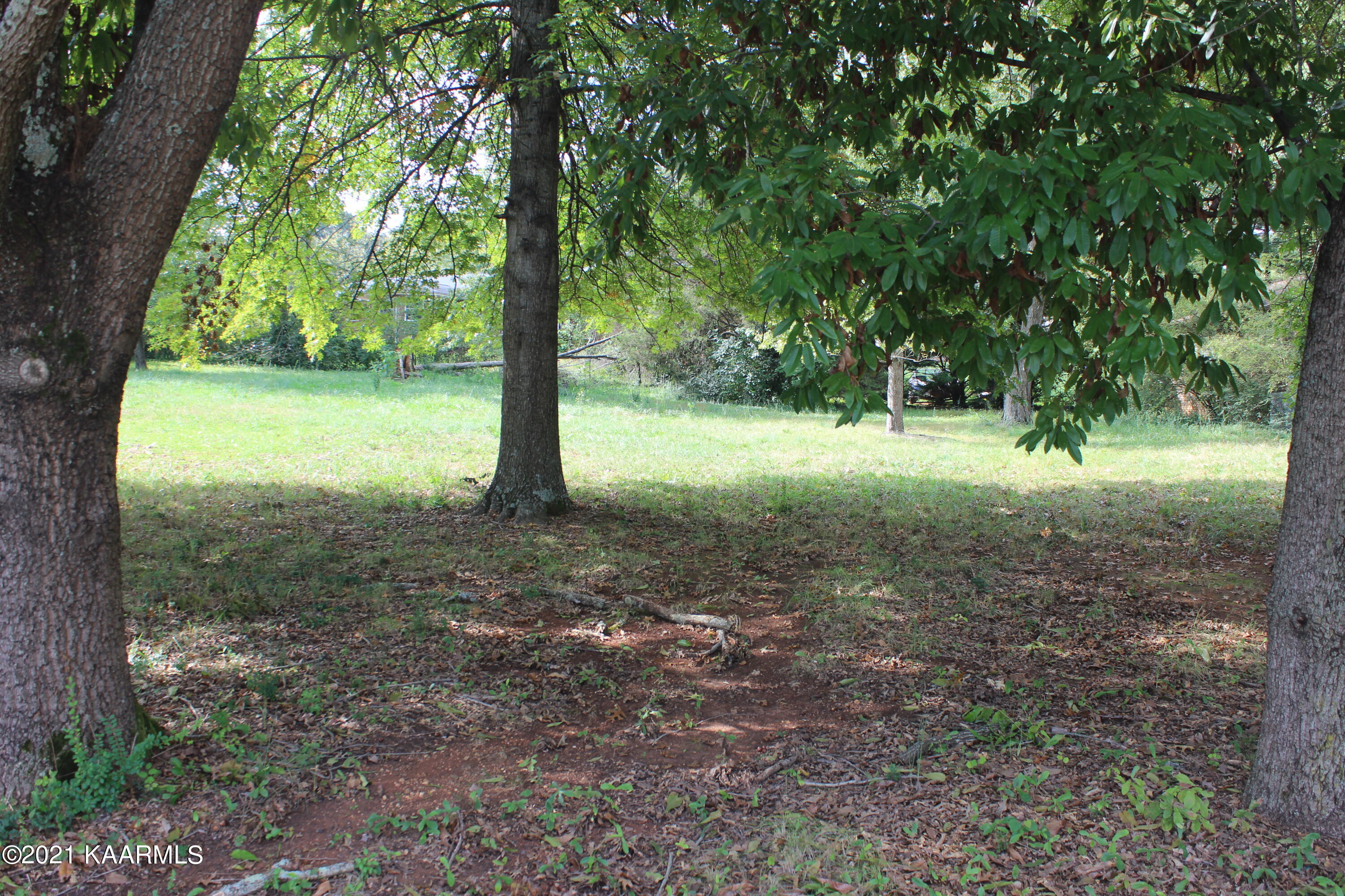 North Cedar Bluff Road Knoxville, TN 37923 - Photo 2 of 4 IMG_9875