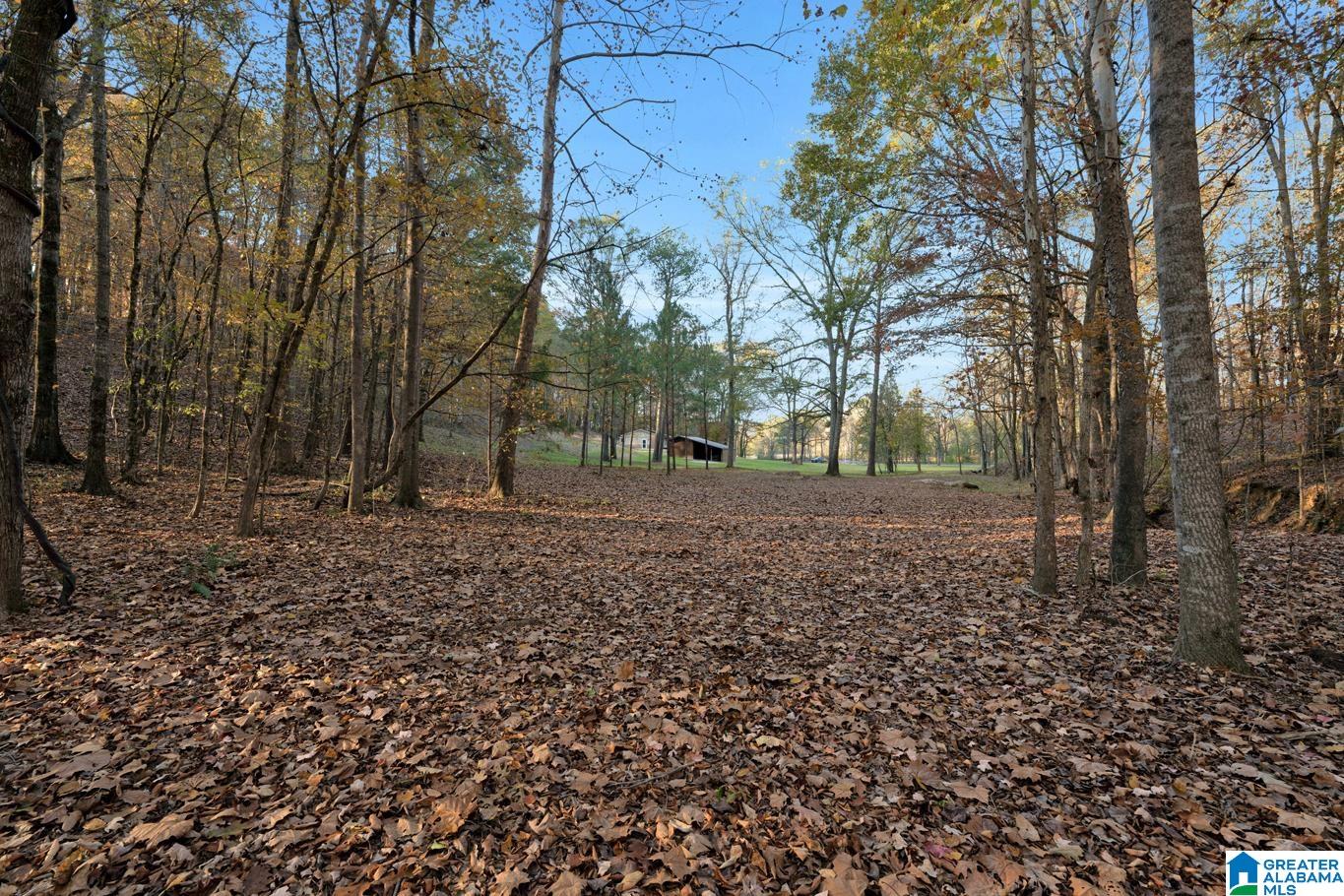 2240 Highway 17 Montevallo, AL 35115 - Photo 39 of 45