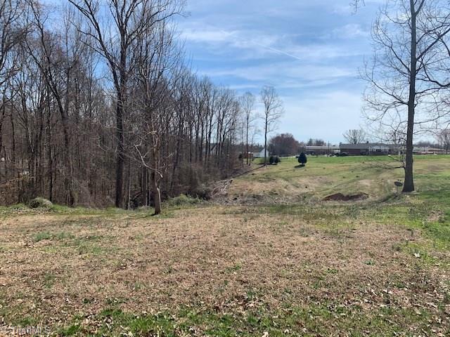 0 Farmstead Road Winston-Salem, NC 27107 - Photo 1 of 2 Gallery Image 1