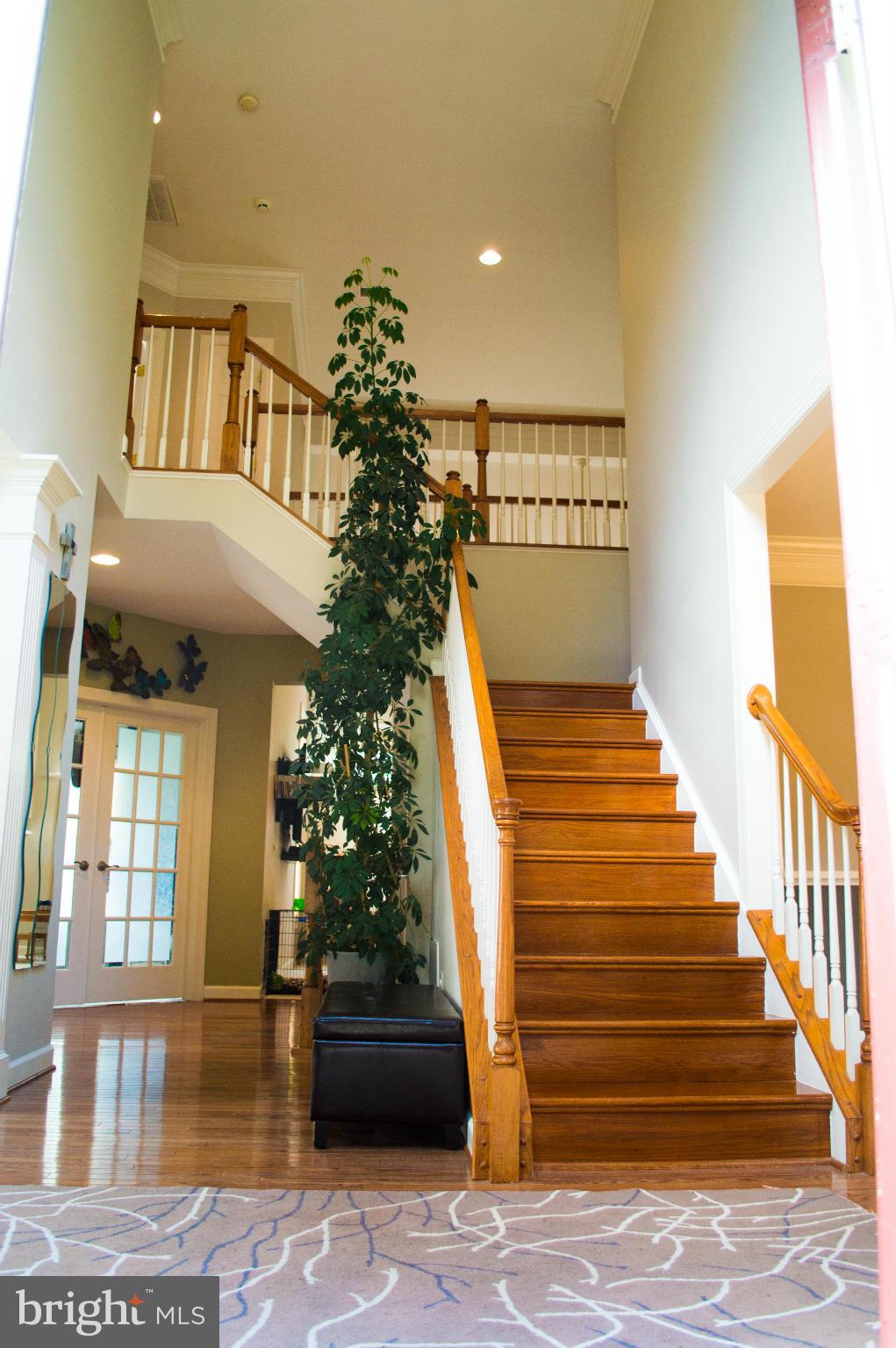 8552 Center Road Springfield, VA 22152 - Photo 2 of 30 Interior (General)