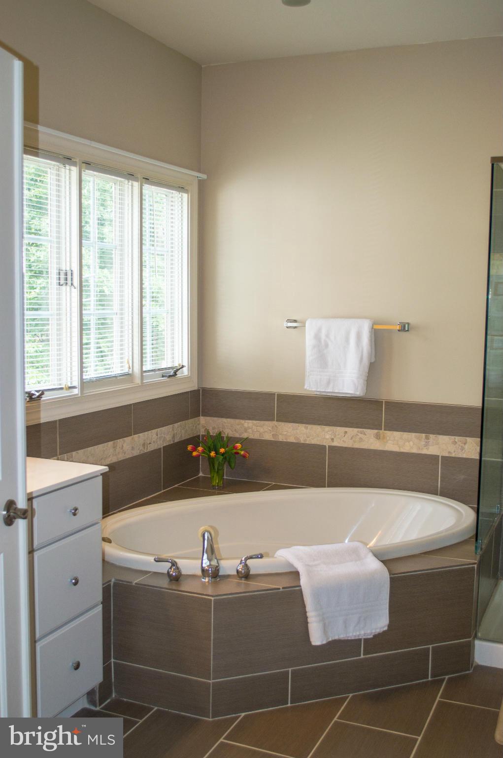 8552 Center Road Springfield, VA 22152 - Photo 17 of 30 Bath (Master)
