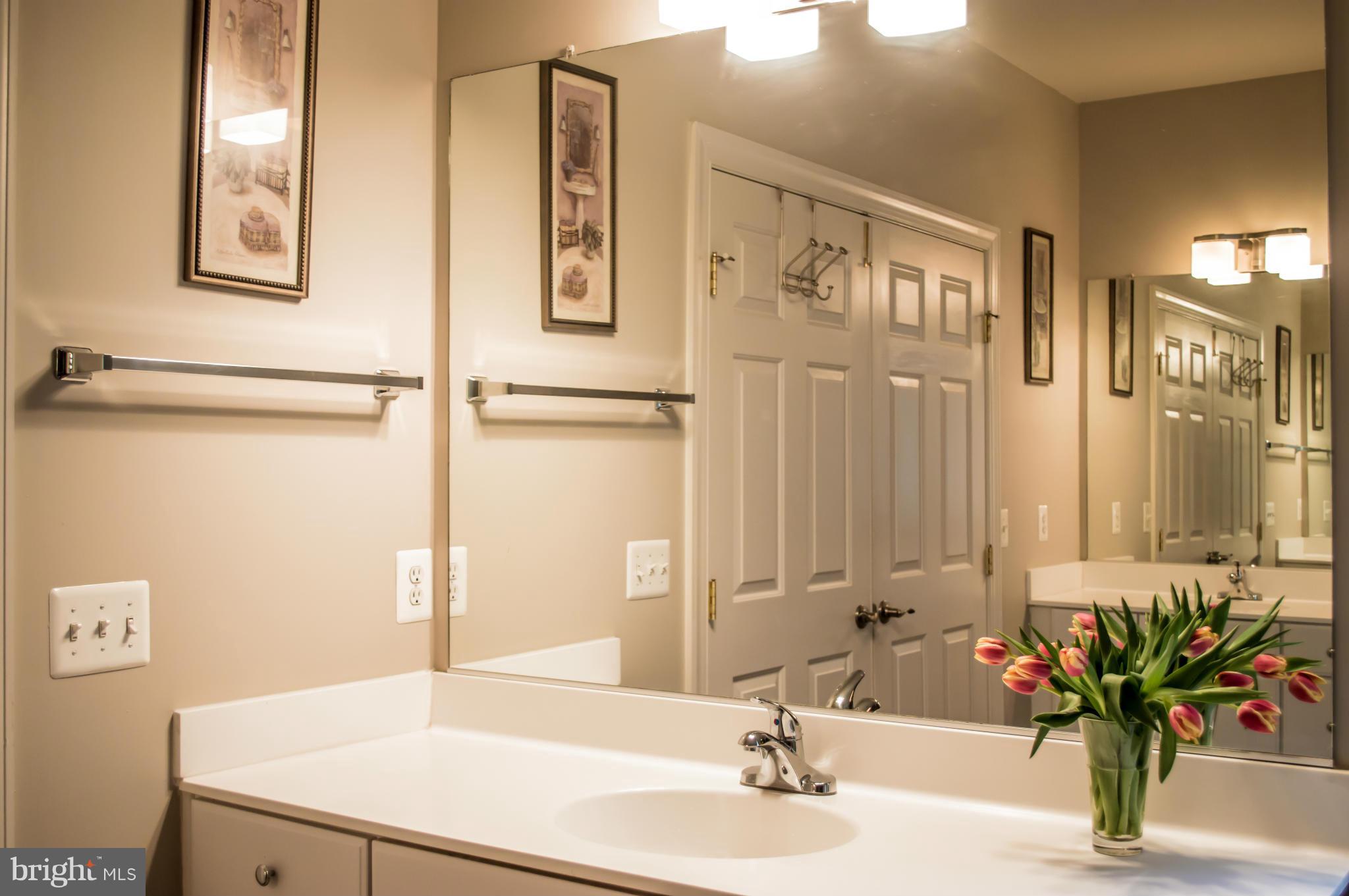 8552 Center Road Springfield, VA 22152 - Photo 19 of 30 Bath (Master)