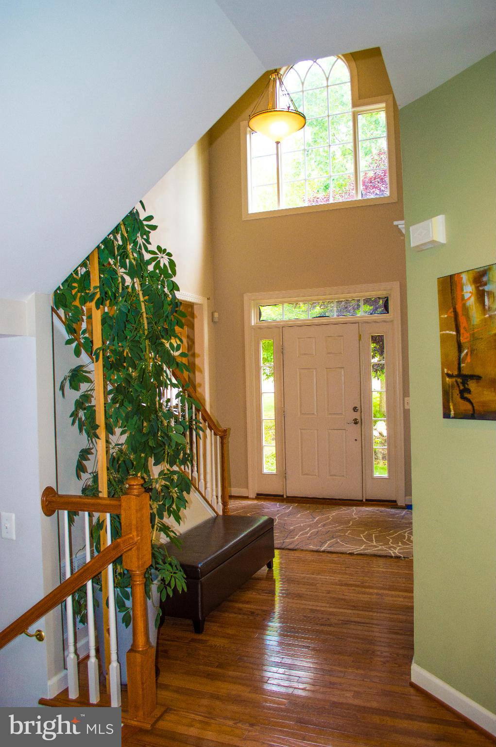 8552 Center Road Springfield, VA 22152 - Photo 3 of 30 Interior (General)