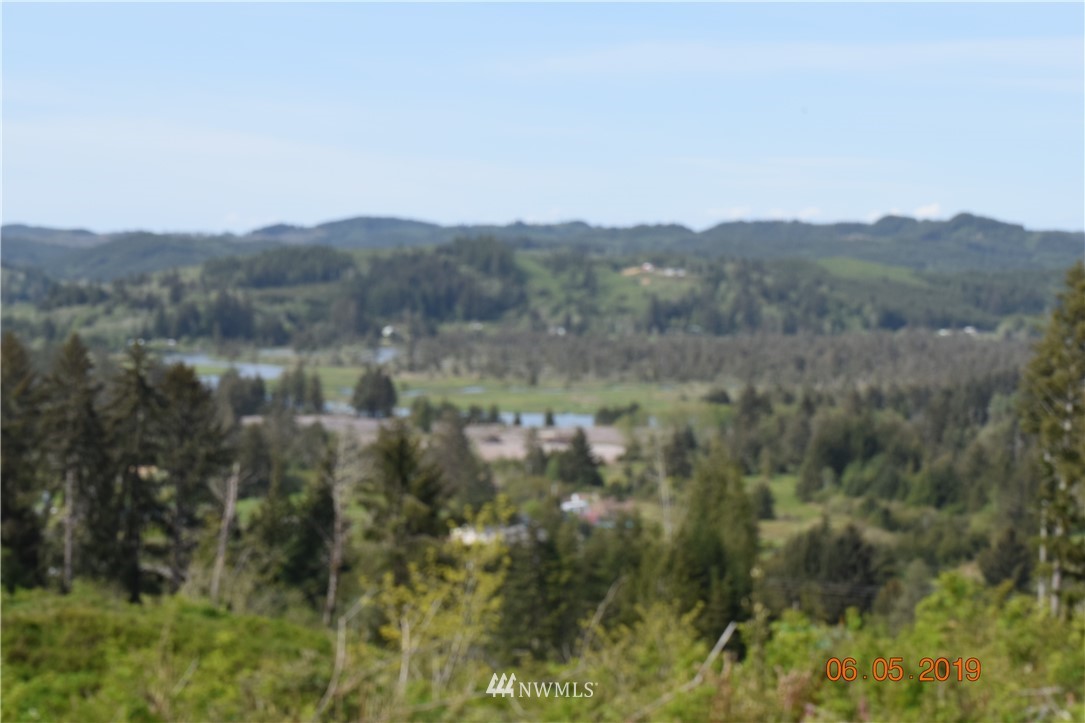 0 Oldani Road Raymond, WA 98577 - Photo 1 of 6 Gallery Image 1
