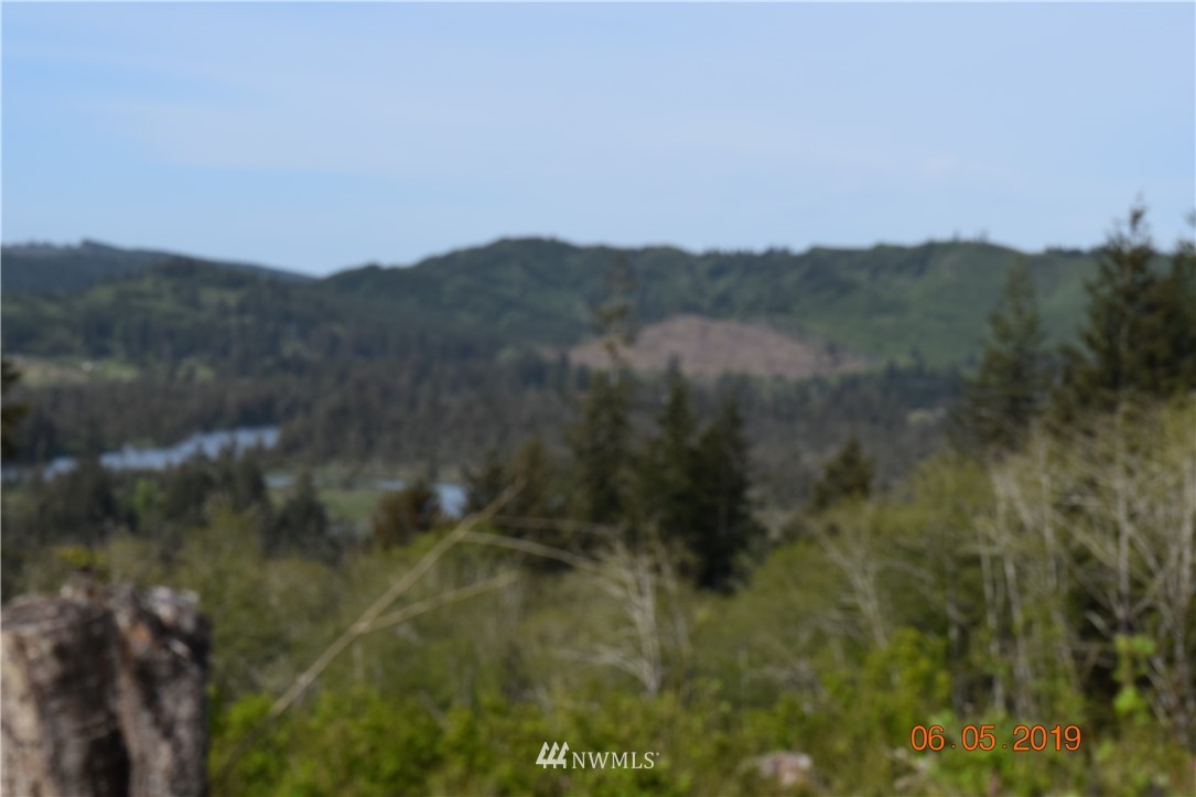 0 Oldani Road Raymond, WA 98577 - Photo 5 of 6 Gallery Image 5