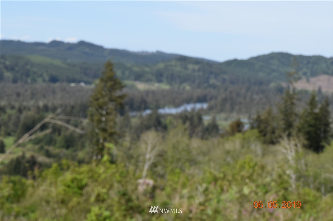 0 Oldani Road Raymond, WA 98577 - Photo 6 of 6 Gallery Image 6