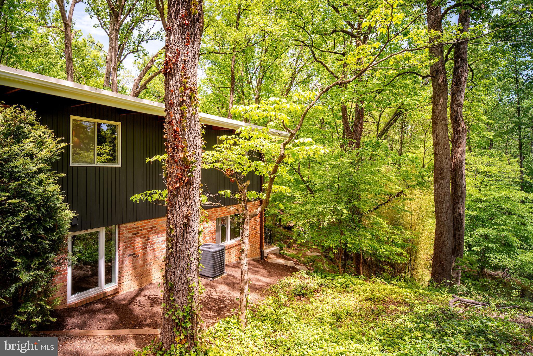 3347 Sheffield Court Falls Church, VA 22042 - Photo 35 of 53 Gallery Image 35
