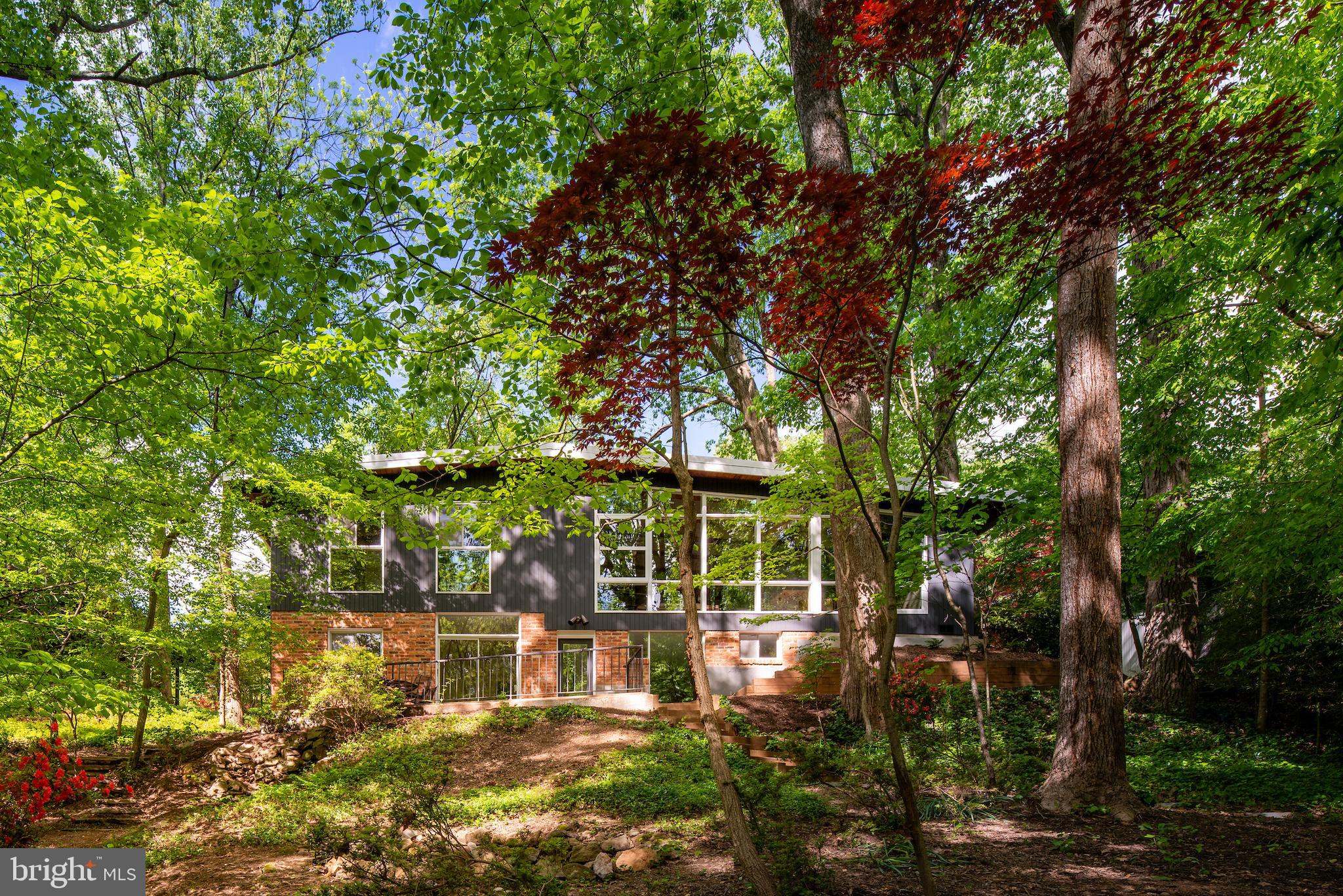 3347 Sheffield Court Falls Church, VA 22042 - Photo 37 of 53 Gallery Image 37