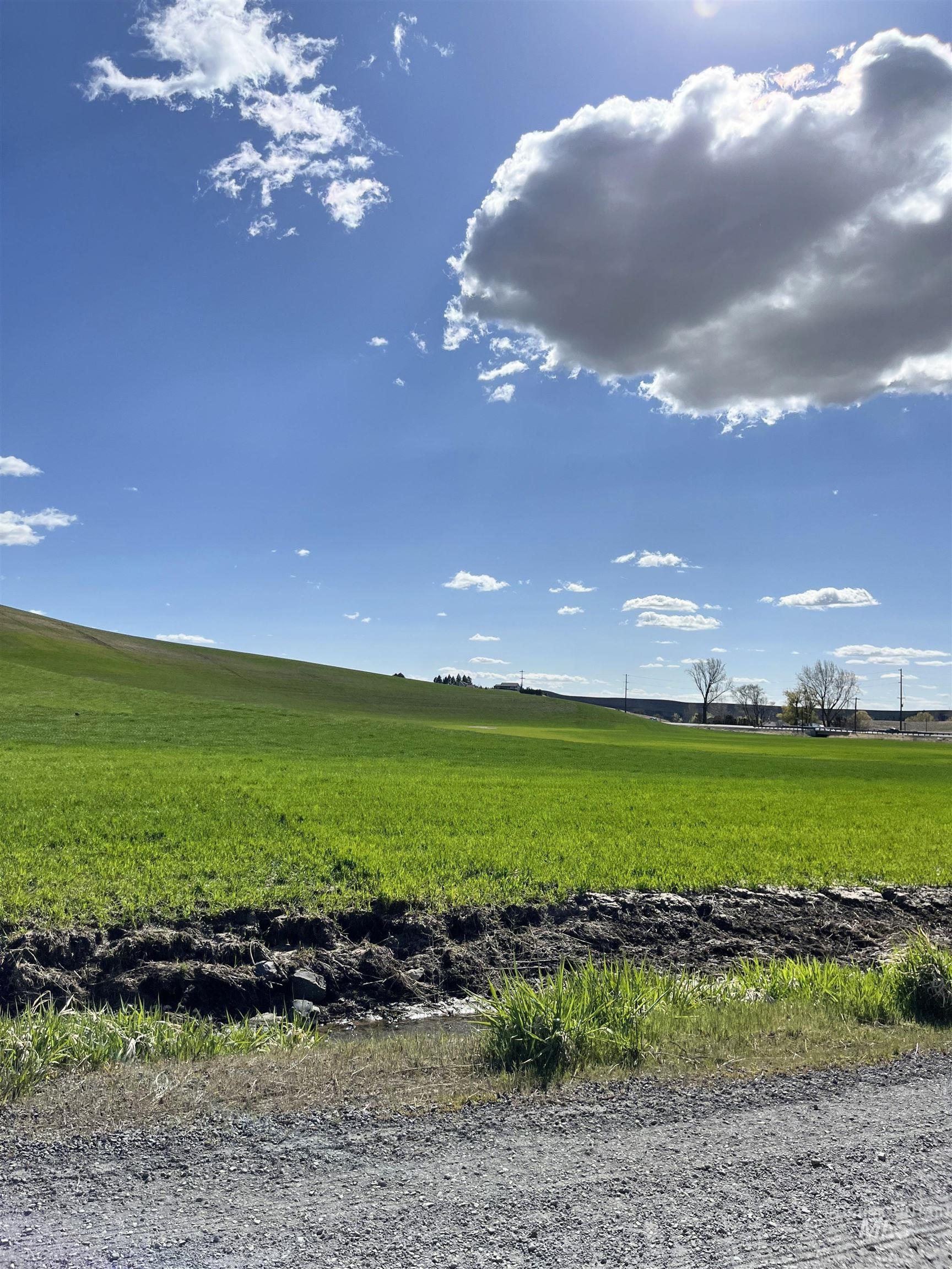 0 Rothfork Road Viola, ID 83872 - Photo 12 of 23