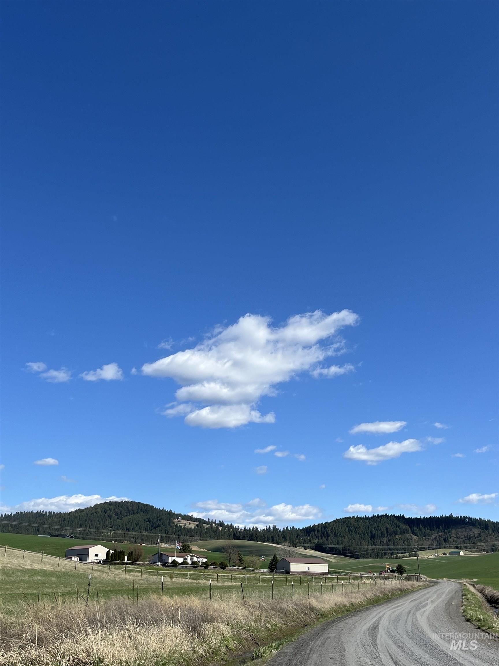 0 Rothfork Road Viola, ID 83872 - Photo 4 of 23