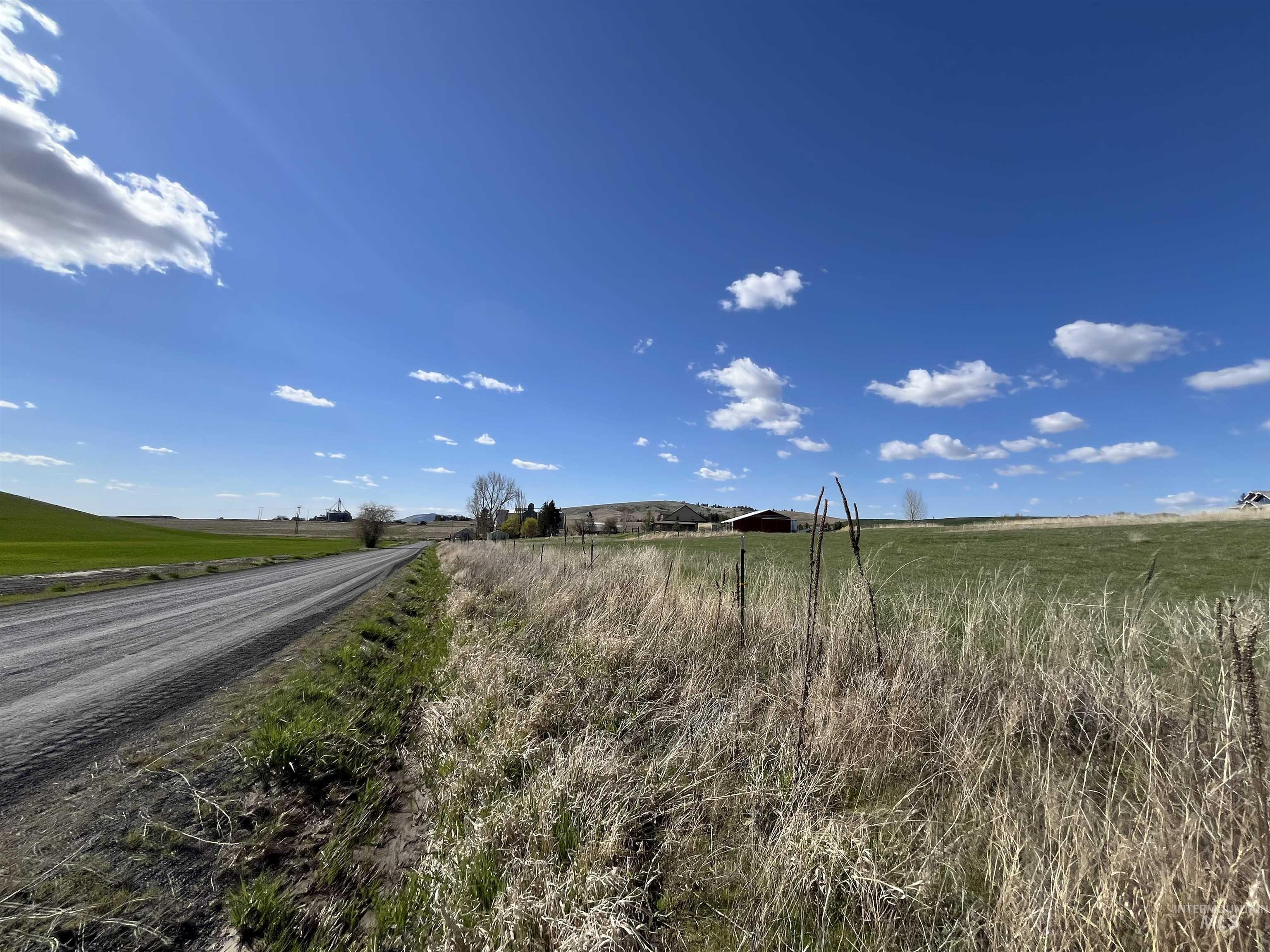 0 Rothfork Road Viola, ID 83872 - Photo 8 of 23