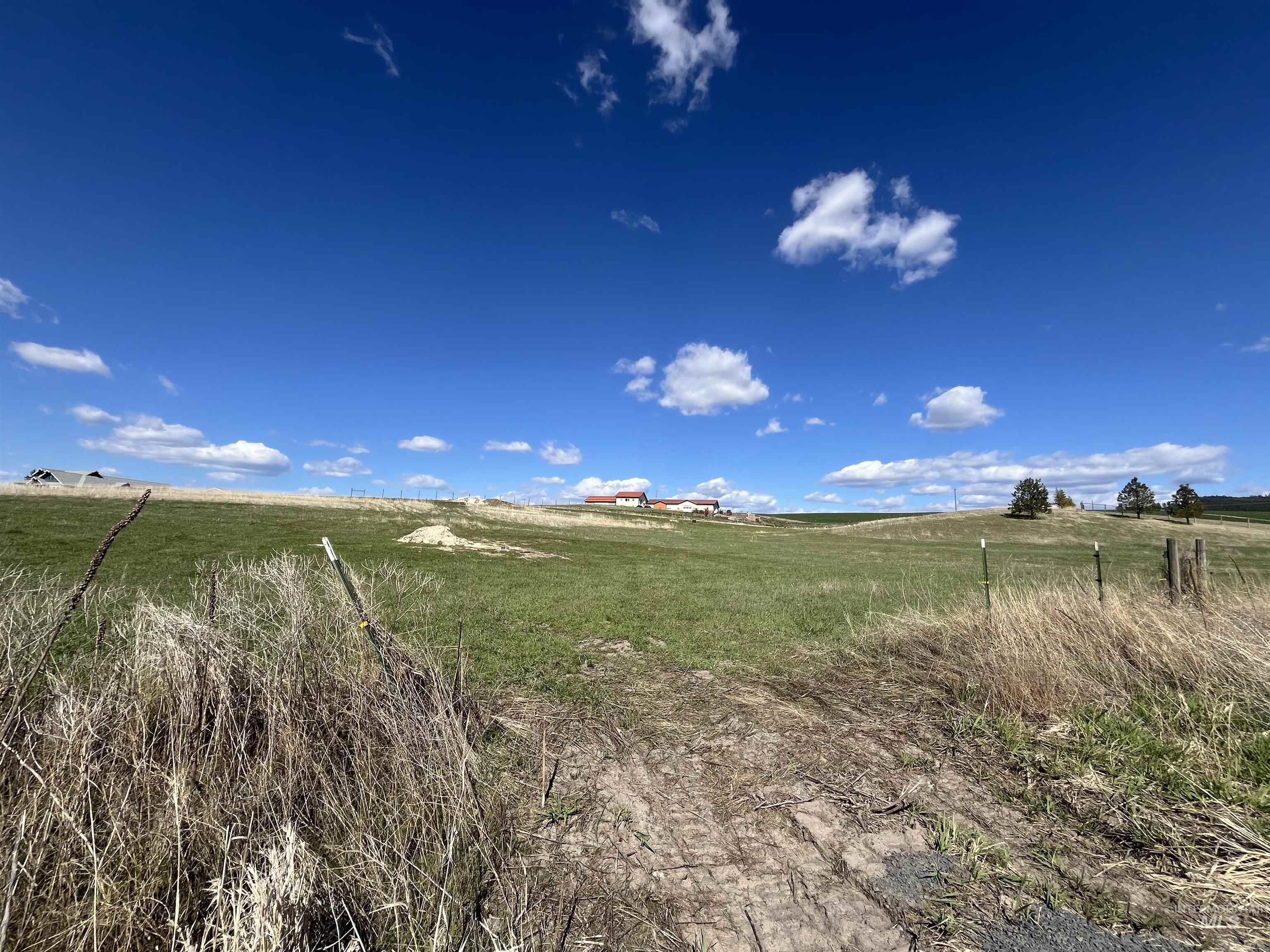 0 Rothfork Road Viola, ID 83872 - Photo 9 of 23