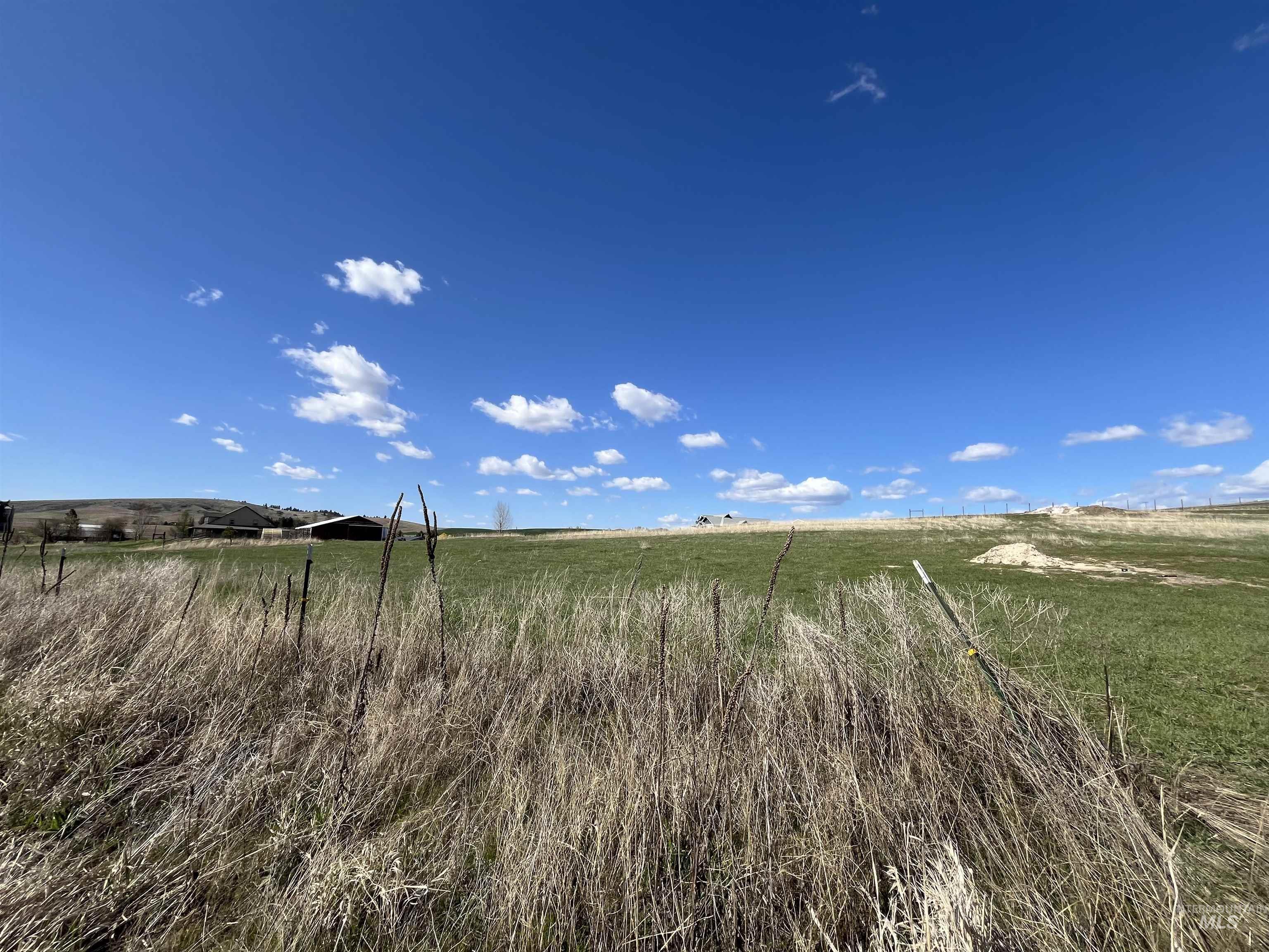 0 Rothfork Road Viola, ID 83872 - Photo 10 of 23