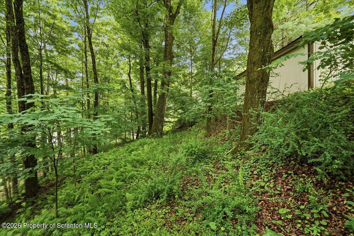 4069 Harmony Road Susquehanna, PA 18847 - Photo 43 of 55 49-4069_Harmony_Rd_042