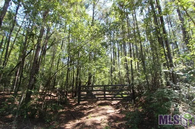 $102,000 | 0 Aunt Margies Road, Greensburg, LA 70441