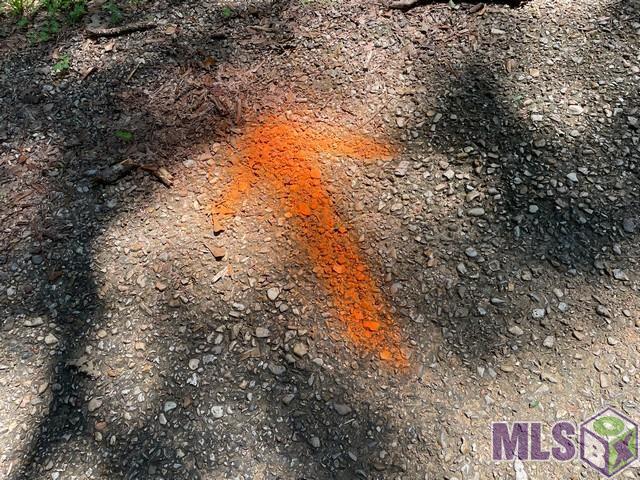 0 Aunt Margies Road Greensburg, LA 70441 - Photo 4 of 10