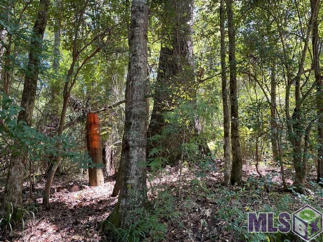 0 Aunt Margies Road Greensburg, LA 70441 - Photo 5 of 10