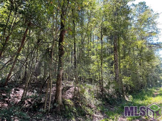 0 Aunt Margies Road Greensburg, LA 70441 - Photo 6 of 10