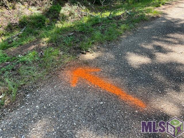 0 Aunt Margies Road Greensburg, LA 70441 - Photo 7 of 10