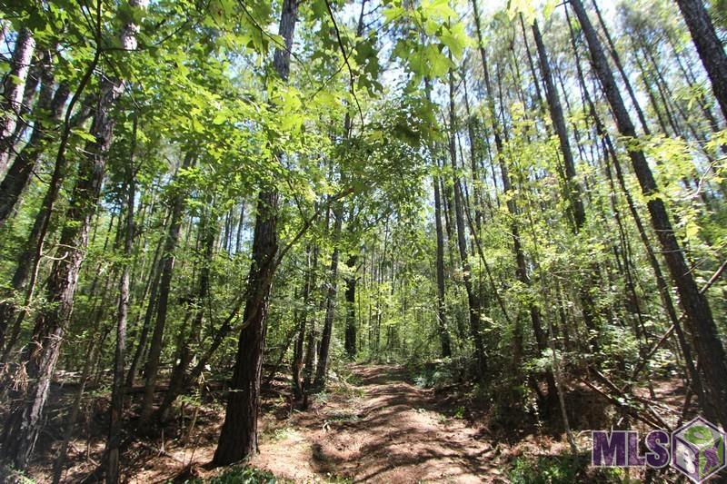 0 Aunt Margies Road Greensburg, LA 70441 - Photo 8 of 10