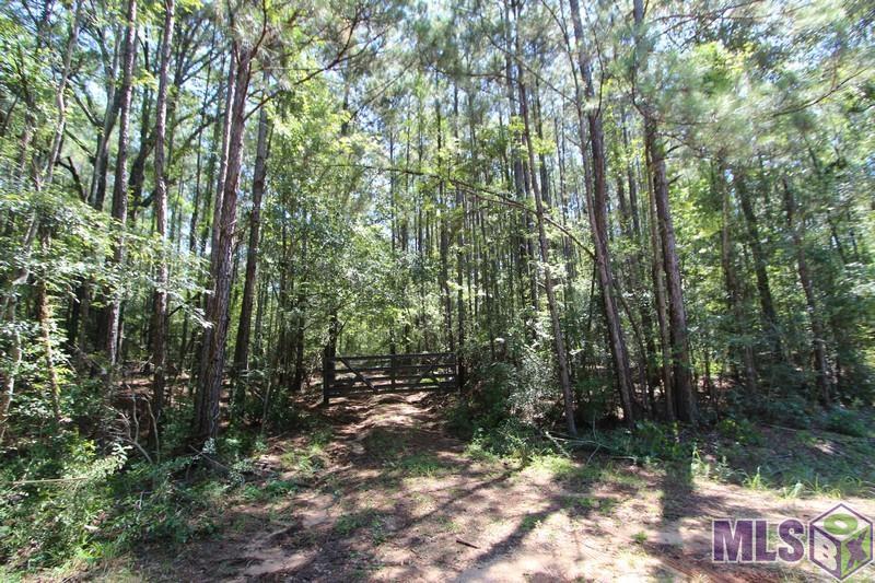 0 Aunt Margies Road Greensburg, LA 70441 - Photo 9 of 10