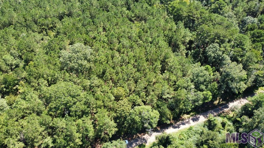 0 Aunt Margies Road Greensburg, LA 70441 - Photo 10 of 10