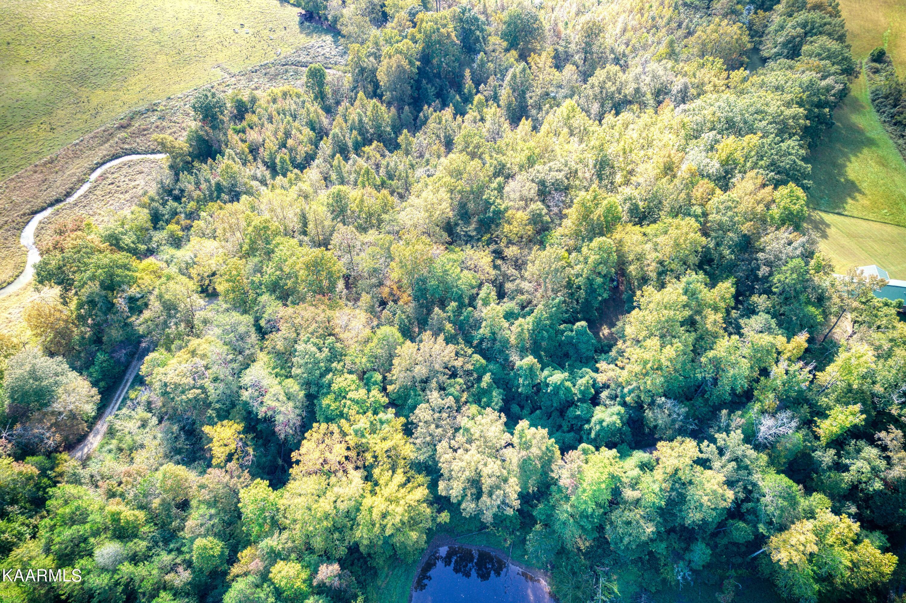 Charles Butler Road Oliver Springs, TN 37840 - Photo 11 of 12 Charles Butler Rd_9
