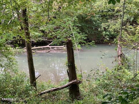Charles Butler Road Oliver Springs, TN 37840 - Photo 3 of 12 IMG_2798