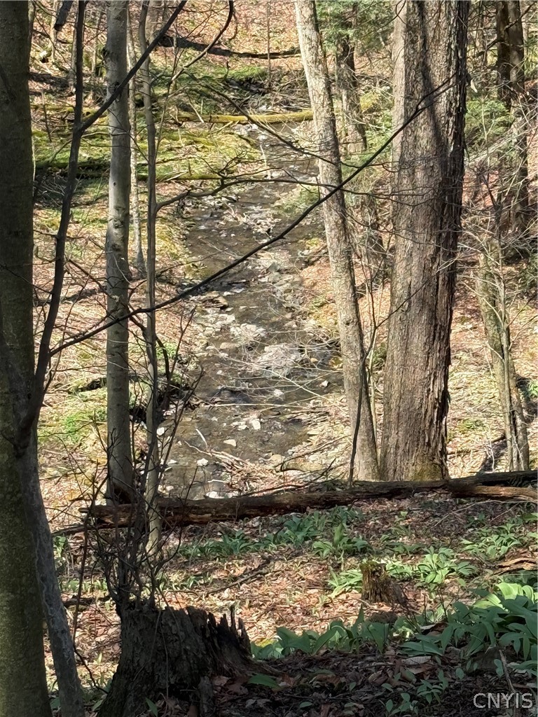 6437 West Scott Road Scott, NY 13077 - Photo 19 of 31