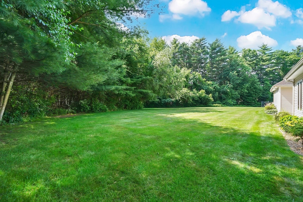 89 Nottingham Drive East Longmeadow, MA 01028 - Photo 33 of 40 a view of a garden
