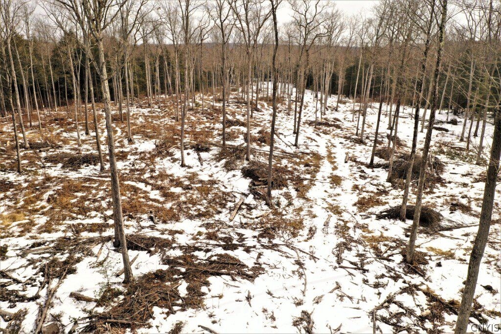 0 Smith Hill Road Addison, NY 14801 - Photo 1 of 19