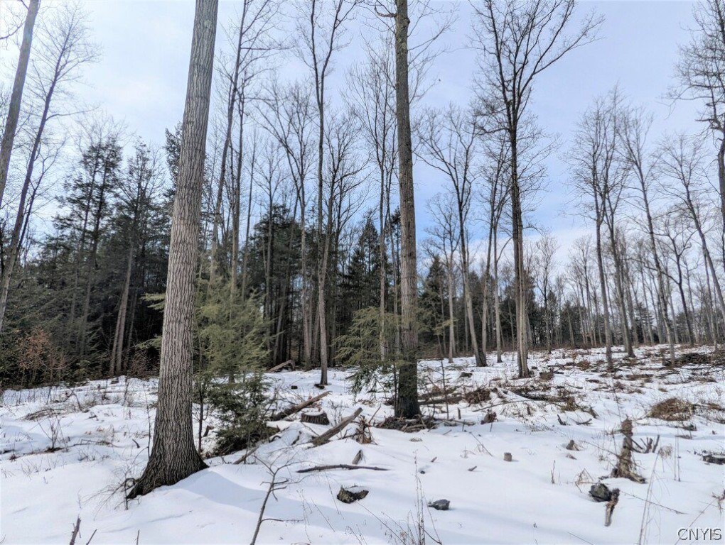 0 Smith Hill Road Addison, NY 14801 - Photo 12 of 19