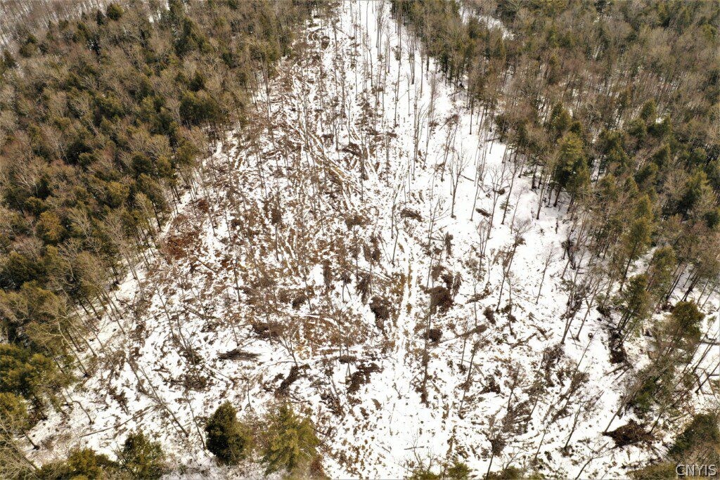 0 Smith Hill Road Addison, NY 14801 - Photo 15 of 19