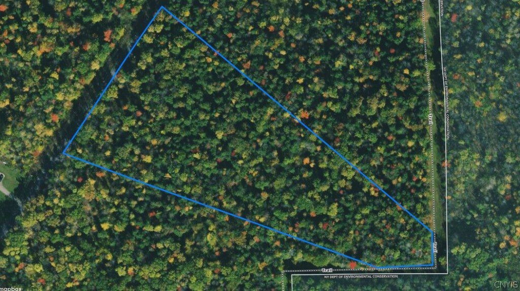 0 Smith Hill Road Addison, NY 14801 - Photo 18 of 19