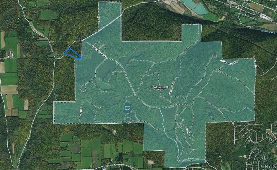 0 Smith Hill Road Addison, NY 14801 - Photo 19 of 19