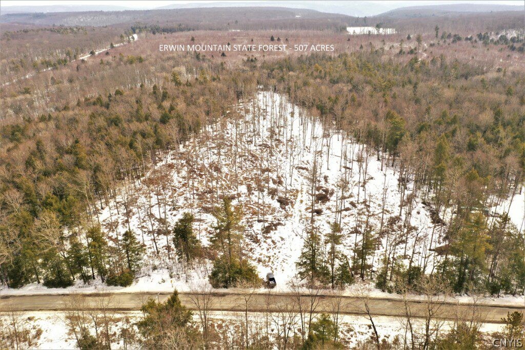 0 Smith Hill Road Addison, NY 14801 - Photo 2 of 19