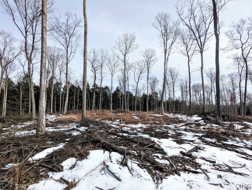 0 Smith Hill Road Addison, NY 14801 - Photo 3 of 19